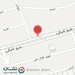 عکس دکتر سید احمد رییس السادات