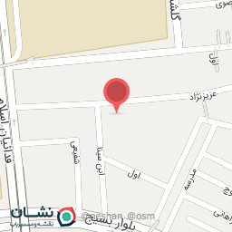 عکس تاکسی سرویس رادین