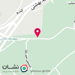 عکس جلوبندی سازی مسعود 