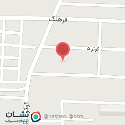 عکس دبستان دخترانه شاهد 