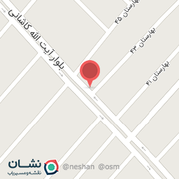 عکس رنگ و ابزار نازی زاده