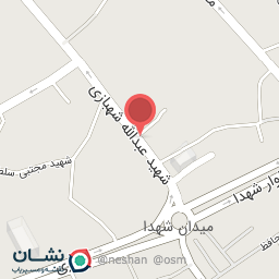 عکس پیتزا شف حمید