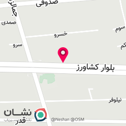 عکس ایران سمعک  نماینده ویدکس