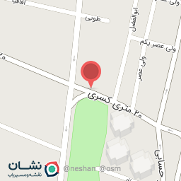 عکس سبزی خرد کنی