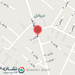 عکس هیئت ثامن الائمه فرومدیهای مقیم مشهد