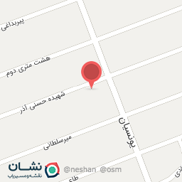 عکس هیئت انصار