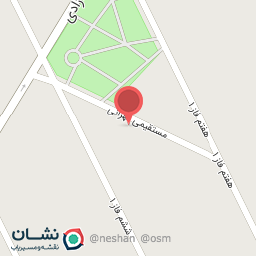 عکس پیتزا آویش