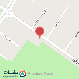 عکس صافکاری و نقاشی برادران