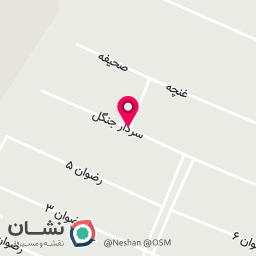 عکس گلدوزی کامپیوتری نوفَر