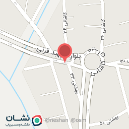 عکس پرنده فروشی محمود