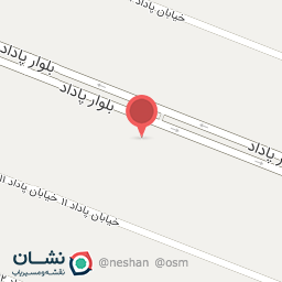 عکس بوتیک تاپ لیدی شعبه پاداد