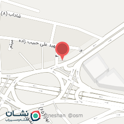 عکس پیتزا رونا