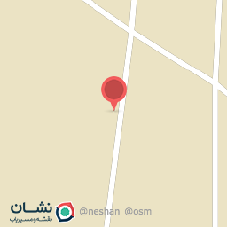 عکس سنگبری ضحا 