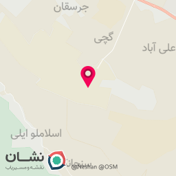 عکس کف‌پوش پارس درخشان