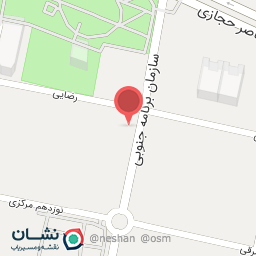 عکس پیتزا بلدرچین