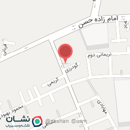 عکس پرنده علی