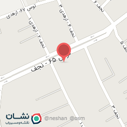 عکس کفش و کیف اتیش کش