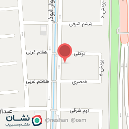 عکس کفش پرستو