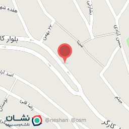 عکس فروشگاه گلچین 