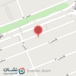 عکس فروشگاه پارسه 