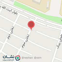 عکس پیتزا مخلوط