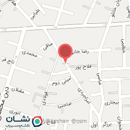 عکس قالیشویی پروین 