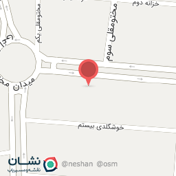 عکس کیف و کفش سویلن