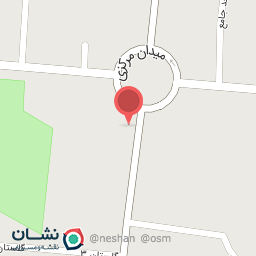 عکس فست فود نارنج 