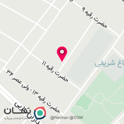 عکس تولیدی کیف یوسفی(بیتا)