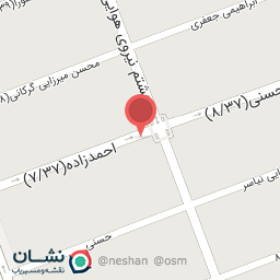 عکس تهیه غذای نگین پخت