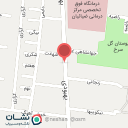 عکس چلو کبابی ذاکری