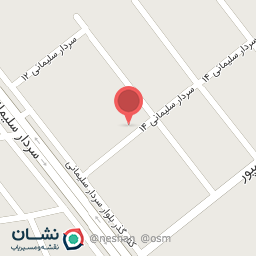 عکس بوش سرویس 