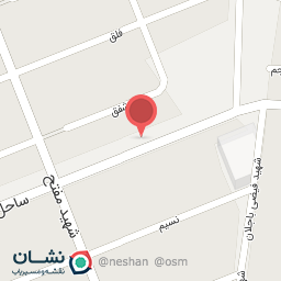 عکس پیتزا دوقلو (شعبه 2)