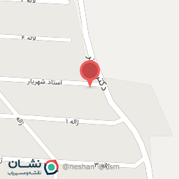 عکس فروشگاه کفش مانی