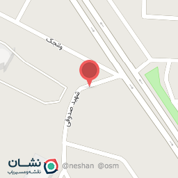 عکس مکانیکی استاد سوران و حامد