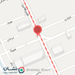 عکس دکتر محمد جواد شکاری اردکانی