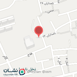 عکس گلزار شهدای محله نخل ناخدا