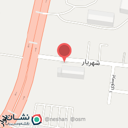 عکس کیف و کفش ثریا