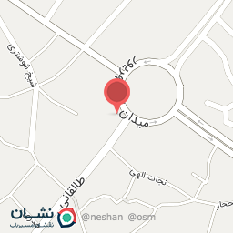 عکس ثبت شرکت عزت اله احمدیان