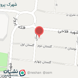 عکس مزون شاین