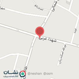 عکس کیف وکفش بیرتک