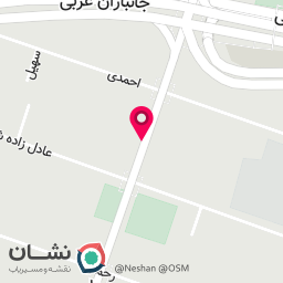 عکس اسباب بازی پیشی تویز