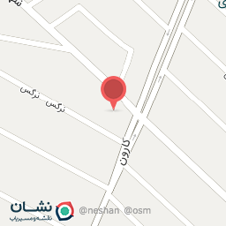 عکس فست فود