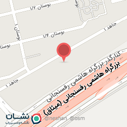 عکس برق و باطری امیر