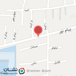 عکس کیف وکفش کاملیا