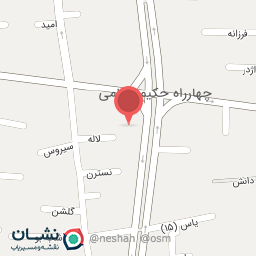 عکس تشک زست