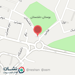 عکس فست فود بانو