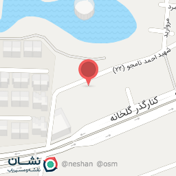 عکس دکتر نیلوفر احمدی