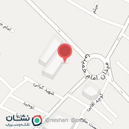 عکس کیف و کفش فطرس