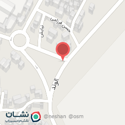 عکس پیتزا پالما